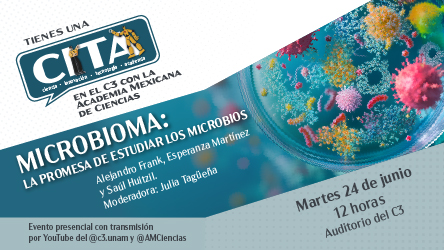imagen_de_referencia