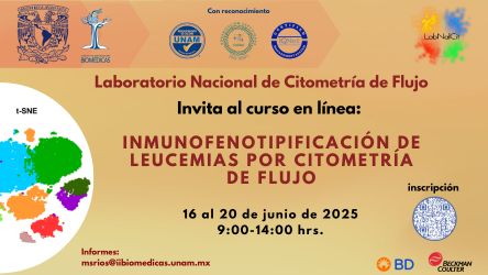 imagen_de_referencia