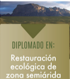 imagen_de_referencia