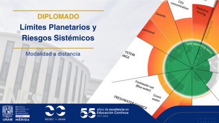 imagen_de_referencia
