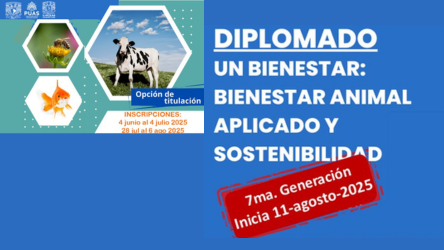 imagen_de_referencia