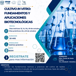 imagen_de_referencia