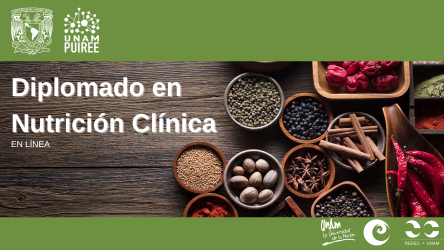 imagen_de_referencia